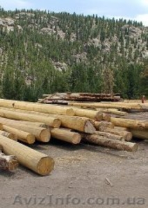 Строительство деревянных срубов #1418450