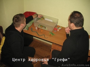 Работа с психической травмой. #1404024