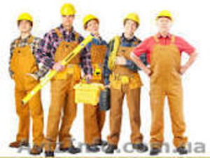 Программист в офис #1423146