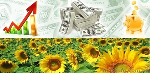 Инвестиции в действующий бизнес. #1398239