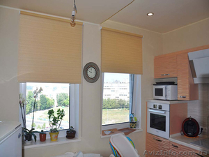 Рулонные шторы #1421109