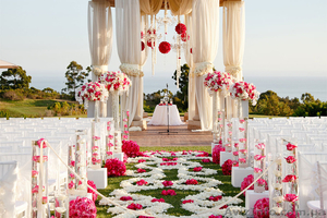 Флористика. Оформление свадьбы. Декор. Донецк #1427711