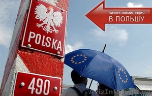 Помощь в открытии Бизнеса в Польше #1430268