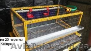 Продам клетку для перепелов #1441745