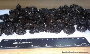 Настоящий Чилийский чернослив продам оптом от 50 кг #1446107