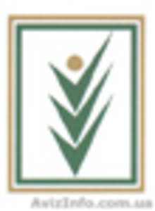 Аренда офисов (помещений) на 13 линии #1442255