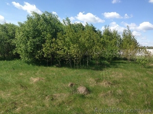 Продам Землю 25 км от Киева #1433118