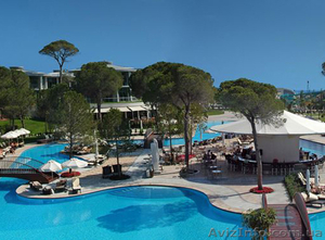 Визовая поддержка в Киеве не дорого #1443211