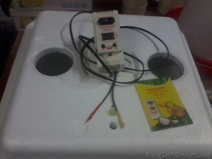 Инкубатор с терморегулятором ТЦИ 