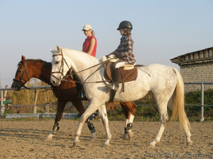 Покататься на лошадях #1445689