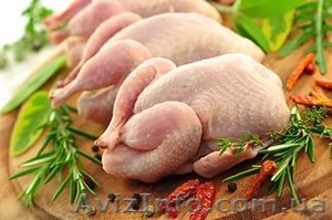 Halal Chiken (Халяль куры) #1434290