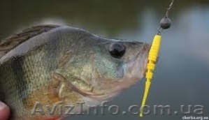 приложение на android. #1431502