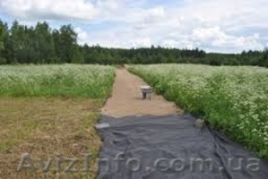 Геотекстиль для борьбы с камышом SF 40 #1430619