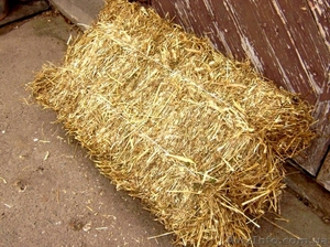 Соломенные тюки для декора с доставкой в Запорожье #1434540
