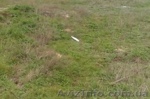 Продам земельный участок Институт Таирова,  кооператив Виноградарь,  ул. Научная #1459782