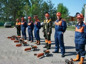 Валка-обрезка,  спил,  кронирование,  удаление,  удалить,  веток,  дерев,  деревьев. #1447552