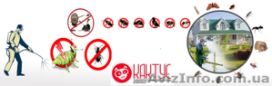 100% избавим от клопов,  клещей,  блох,  комаров,  тараканов,  муравьев,  ос,  шершней  #1453768