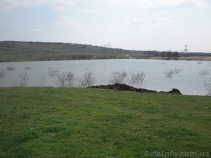 Предлагаем совместное развитие бизнеса #1448595