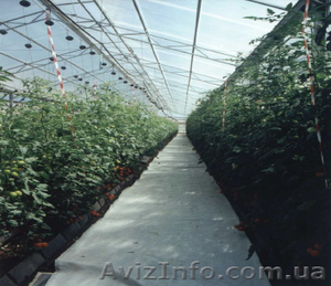 Семена,  удобрения,  теплицы,  системы полива,  агротехника,  системы защиты #1450833