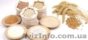 Ария Продукт- оптовая продажа продуктов питания #1447333