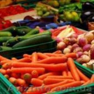 Разнорабочие на сбор и упаковку овощей( Польша) #1453363