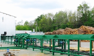 Сортировочная линия бревен #1451912