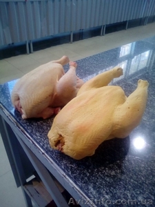 изготовлю муляжи #1472579