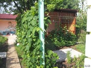 Сдам  домик в Новофедоровке под Саками,  Западный Крым #1460264