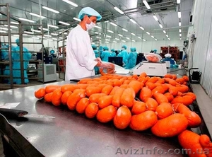  На работу в Польше нужны упаковщики колбасных изделий #1468421