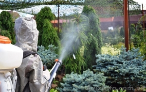 Обработка  помещений                                                             #1460795