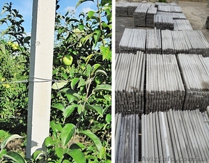 Виноградные столбики железобетонные 2, 20 б/у 