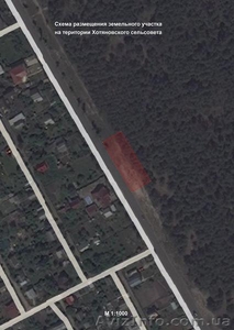 Участок в лесу. Асфальт по самый участок. #1469944