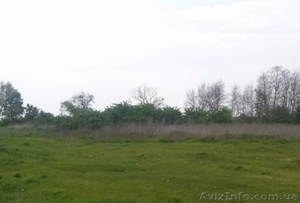 Продам участок 65 соток,  с. Ерковцы (Переяслов-Хмельн) #1468003