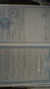 с. Дмитровка,  Киево святошинский район #1460256