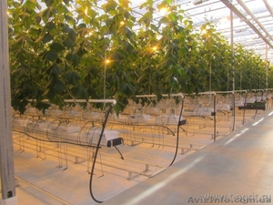 Система автоматического отопления у Вас в теплицах! #1469204