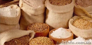 Комбікорм в Києві. Продам комбікорм #1466080