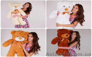 Купить плюшевого медведя #1465702