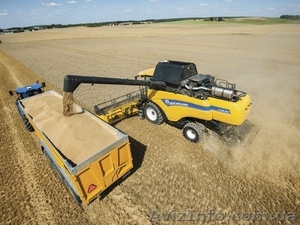 Зернозбиральний комбайн NEW HOLLAND СХ8.80 #1467658