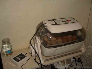 інкубатор R-Com #1203668