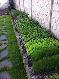 Продажа дома в Петропавловской Борщаговке #1478816