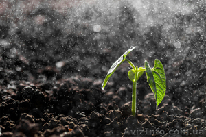 Комплексный анализ почвы #1470362