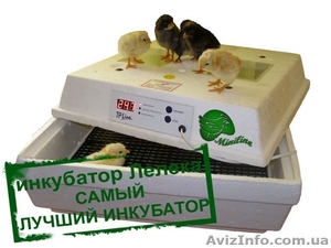 Инкубаторы Лелека | Инкубаторы для яиц #1477376