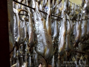 Деликатесная вяленая рыбка #1355850