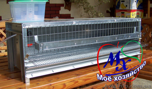  Купить клетку для содержания на 20 перепелов. #1483508