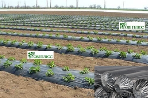 Черная  пленка для мульчирования - гарантия 3 года  #1473685