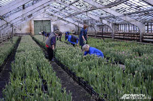 Работа. Требуется помощник по хозяйству с проживанием #1486409