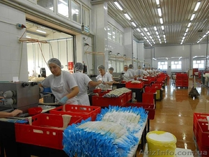 В Польшу требуются рабочие на завод по вторичной обработке свиных кишок #1489391