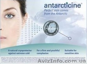 Antarcticine - Защищает кожу и удерживает влагу,  5 мл #1491056