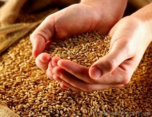 Карбамид(мочевина) #1489883