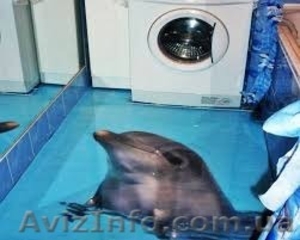  Промышленные полы. Наливные декоративные 3д полы. #1487848